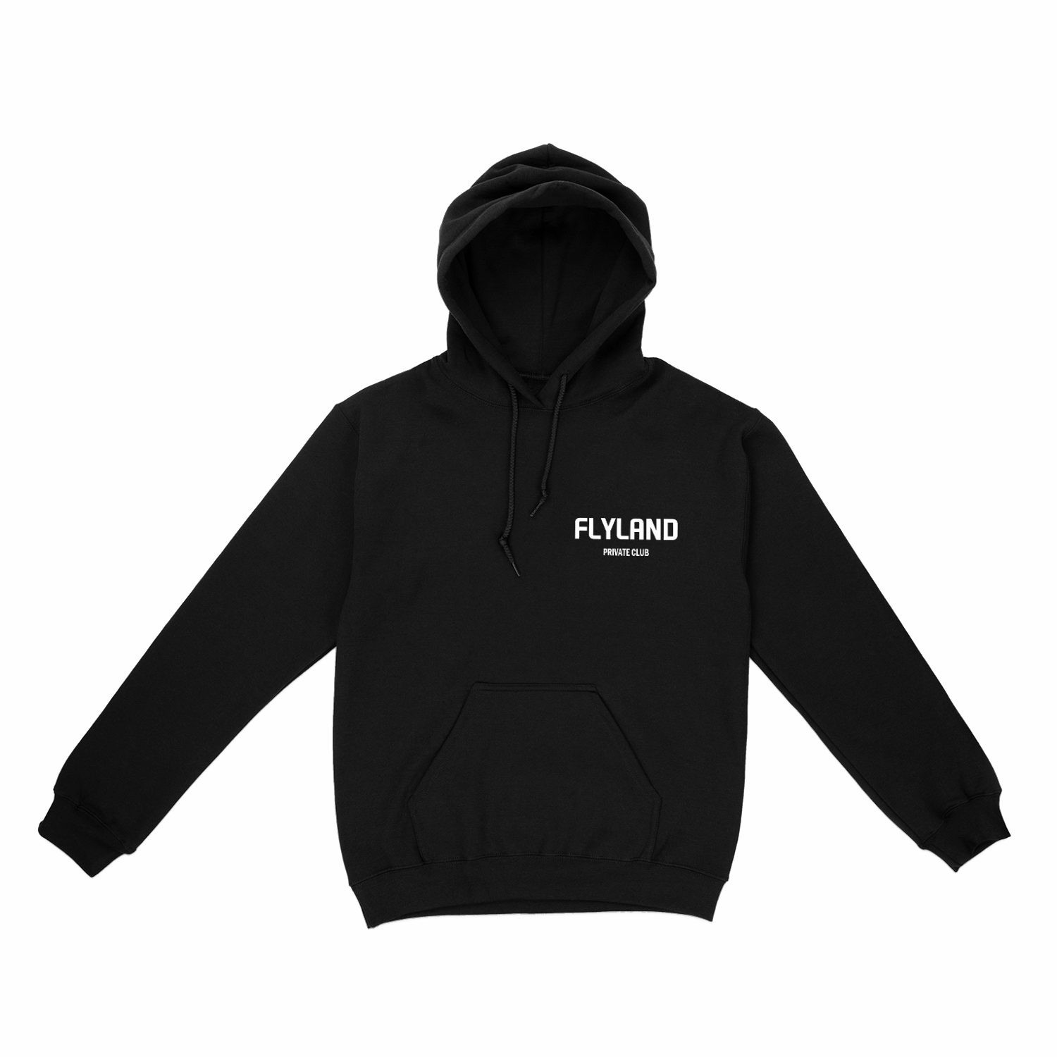 A private 2025 view hoodie